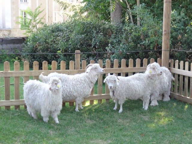 fete ane 2018 (46).JPG